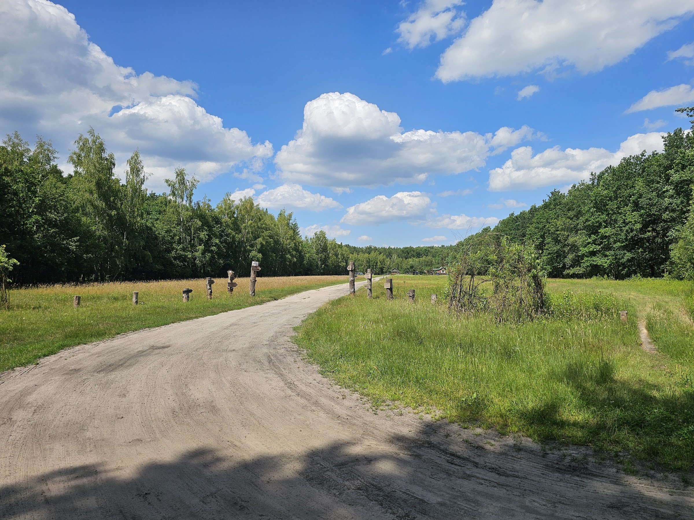 Pole Namiotowe DPT Granica